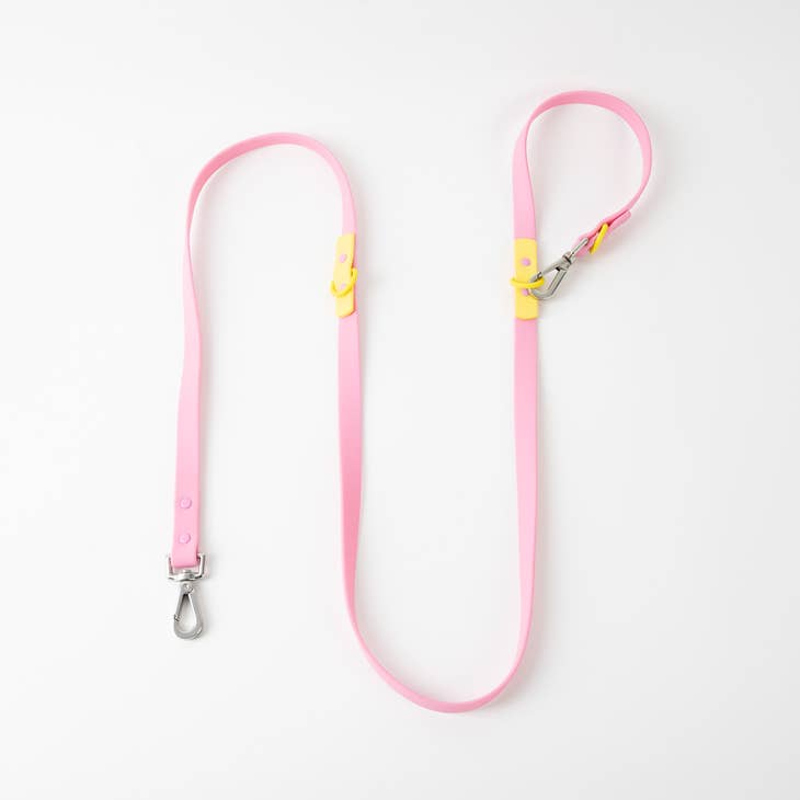 approved by fritz - dog leash