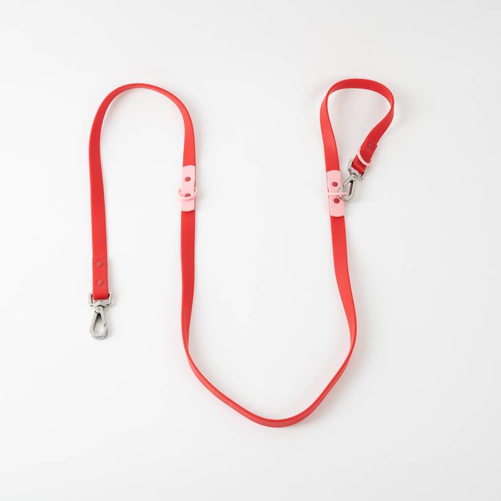 approved by fritz - dog leash