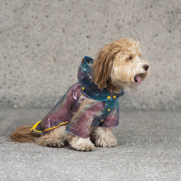 Silver Paw - Kinney Dog Translucent Raincoat
