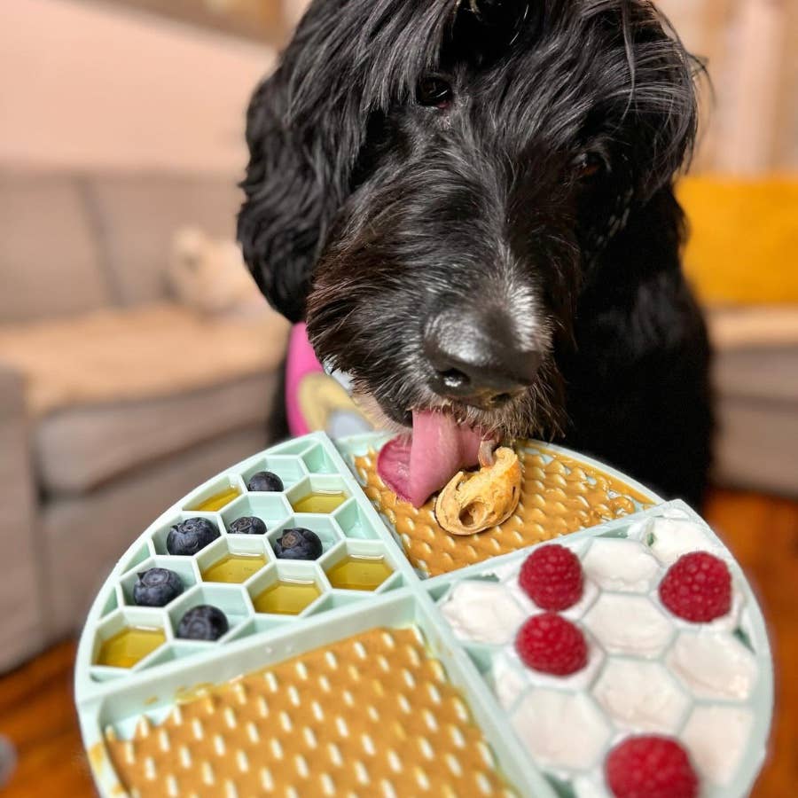 Relax Rover Buddy Budder - Dog Peanut Butter