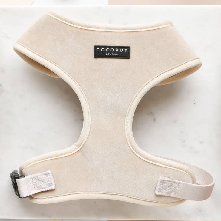 cocopup london - luxe velvet harness champagne