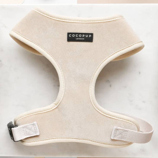 cocopup london - luxe velvet harness champagne