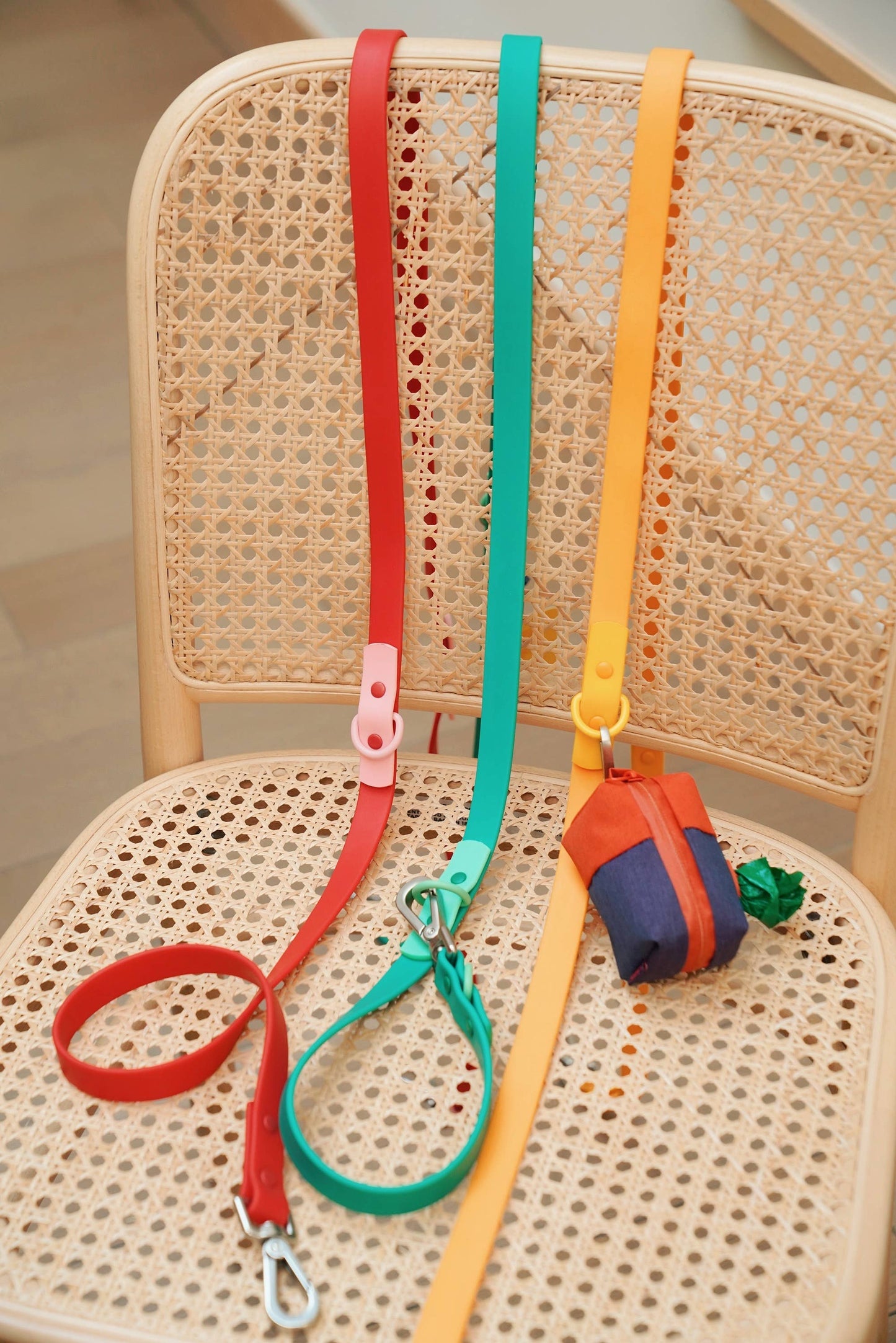 approved by fritz - dog leash