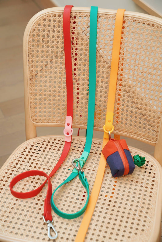 approved by fritz - dog leash