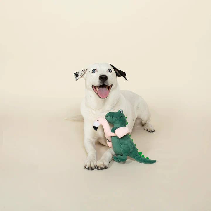 PetShop by Fringe Studio Pool Time Rex Plush Dog Toy