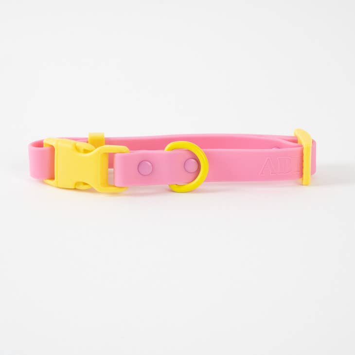 approved by fritz - dog collar