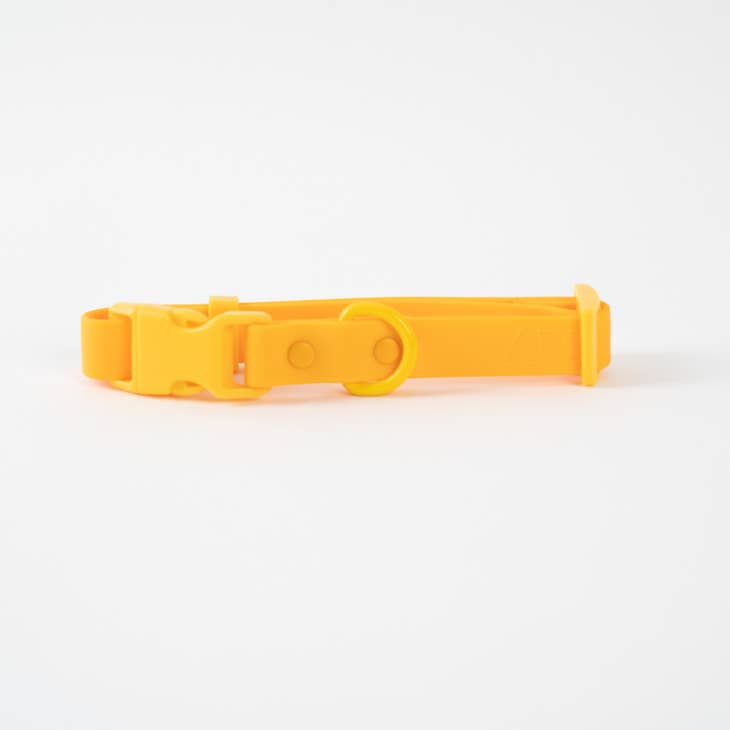 approved by fritz - dog collar
