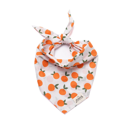 Clementine Dog Bandana