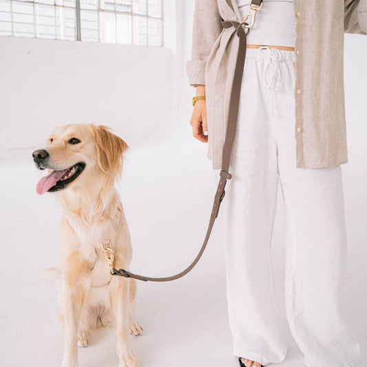 dexypaws hands free leash