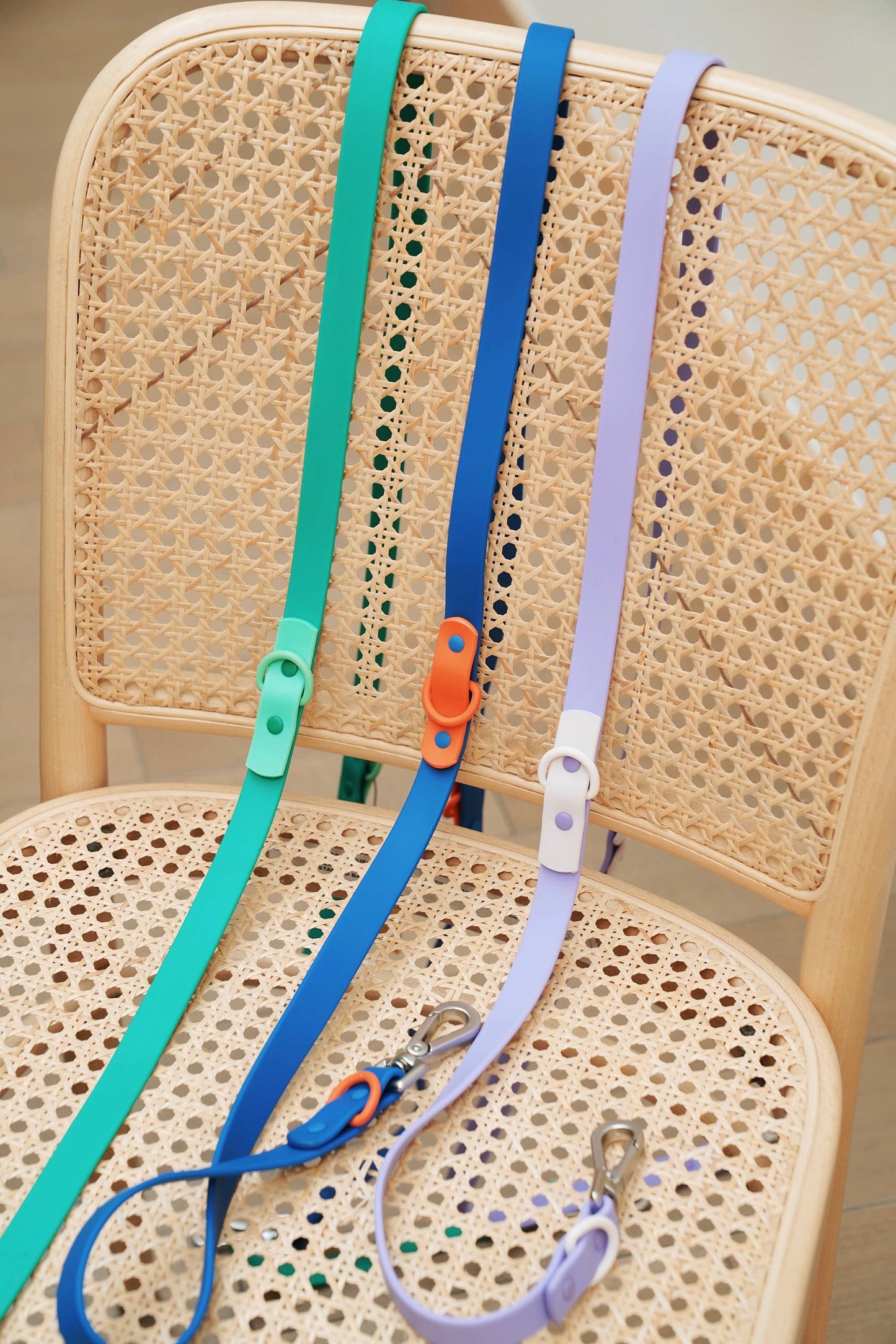 approved by fritz - dog leash
