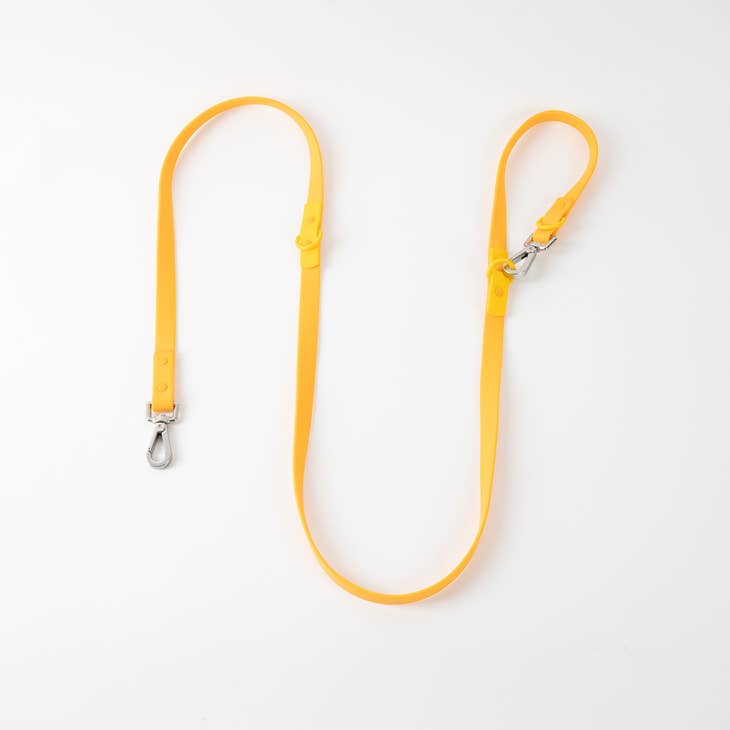 approved by fritz - dog leash