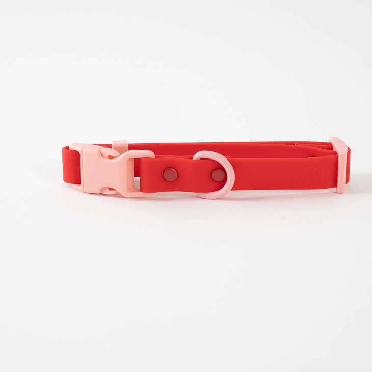 approved by fritz - dog collar