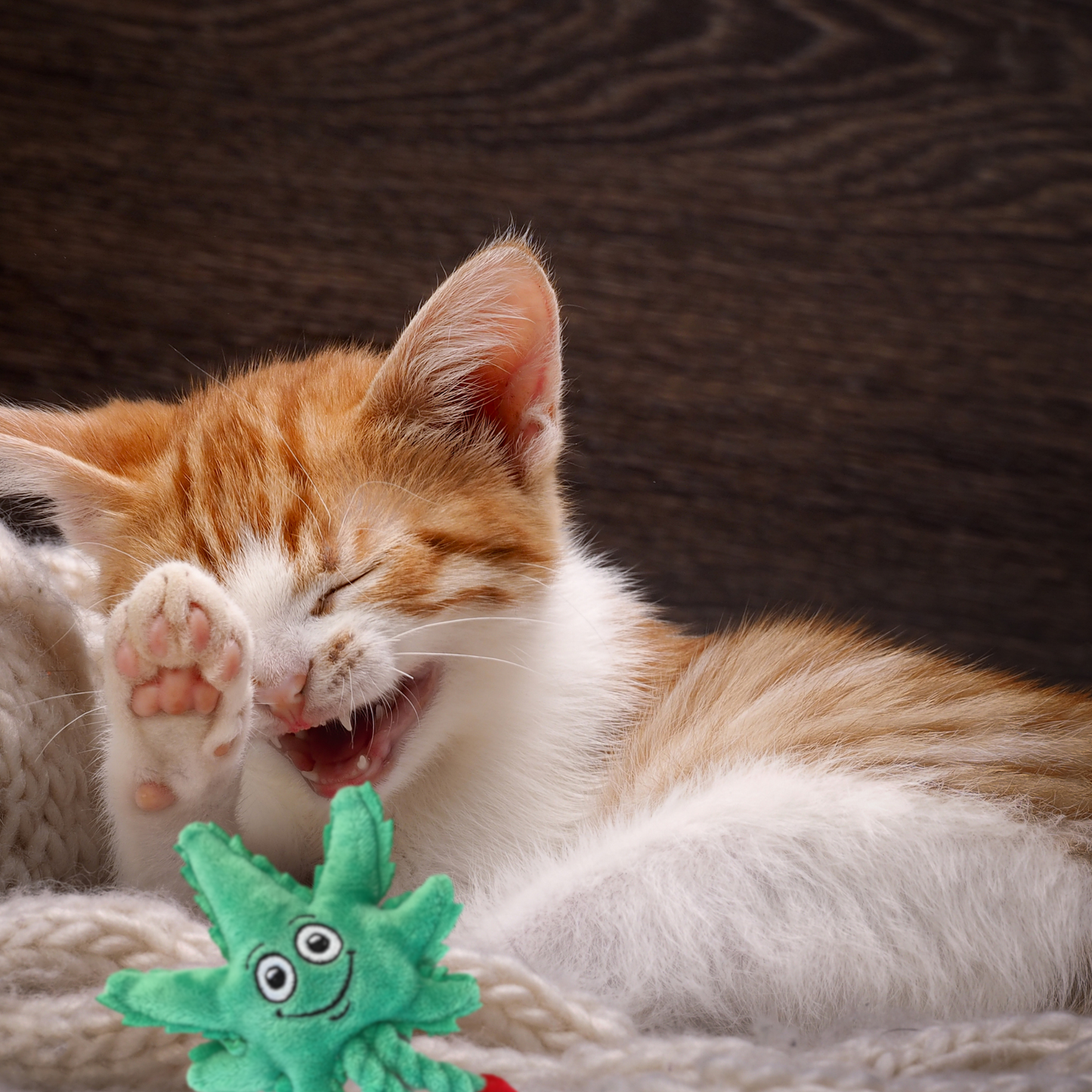 Paw:20 - Lil' MJ the Weed Leaf, Cat Toy