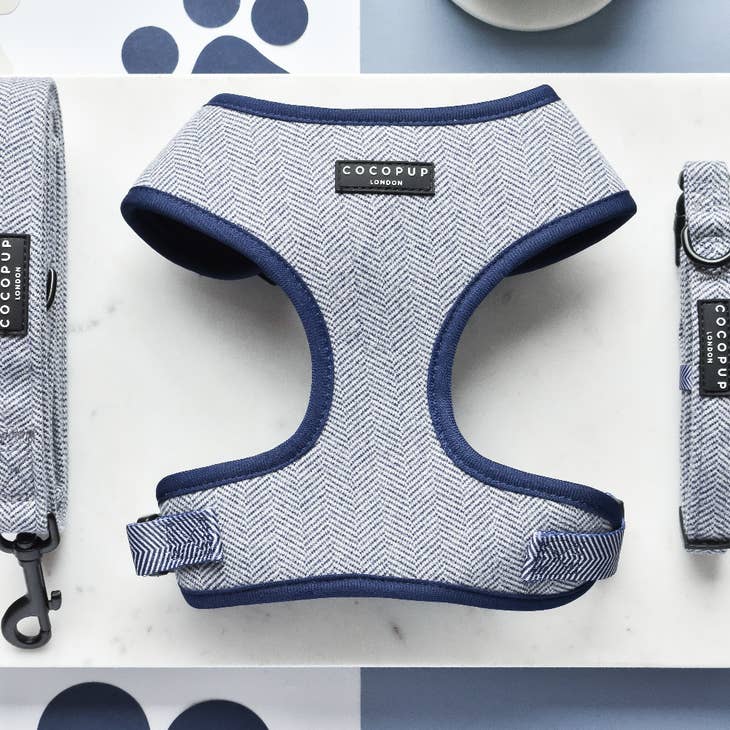 cocopup london - tweed adjustable neck harness navy
