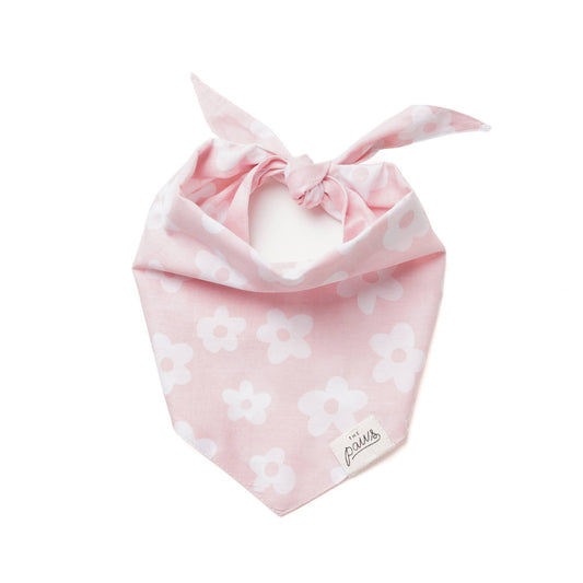 Daisie Dog Bandana