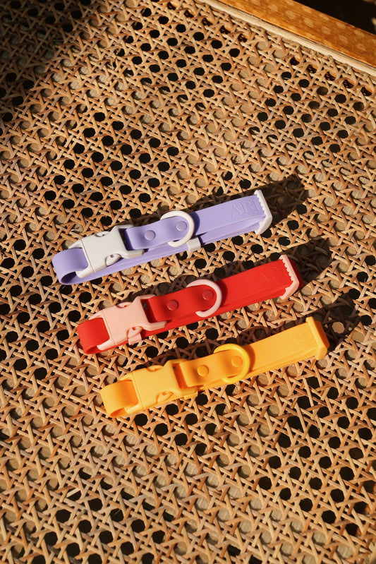 approved by fritz - dog collar
