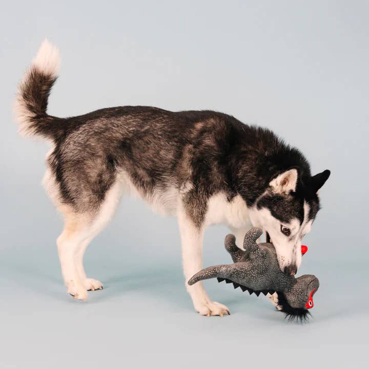 Rocker Rex Plush Dog Toy