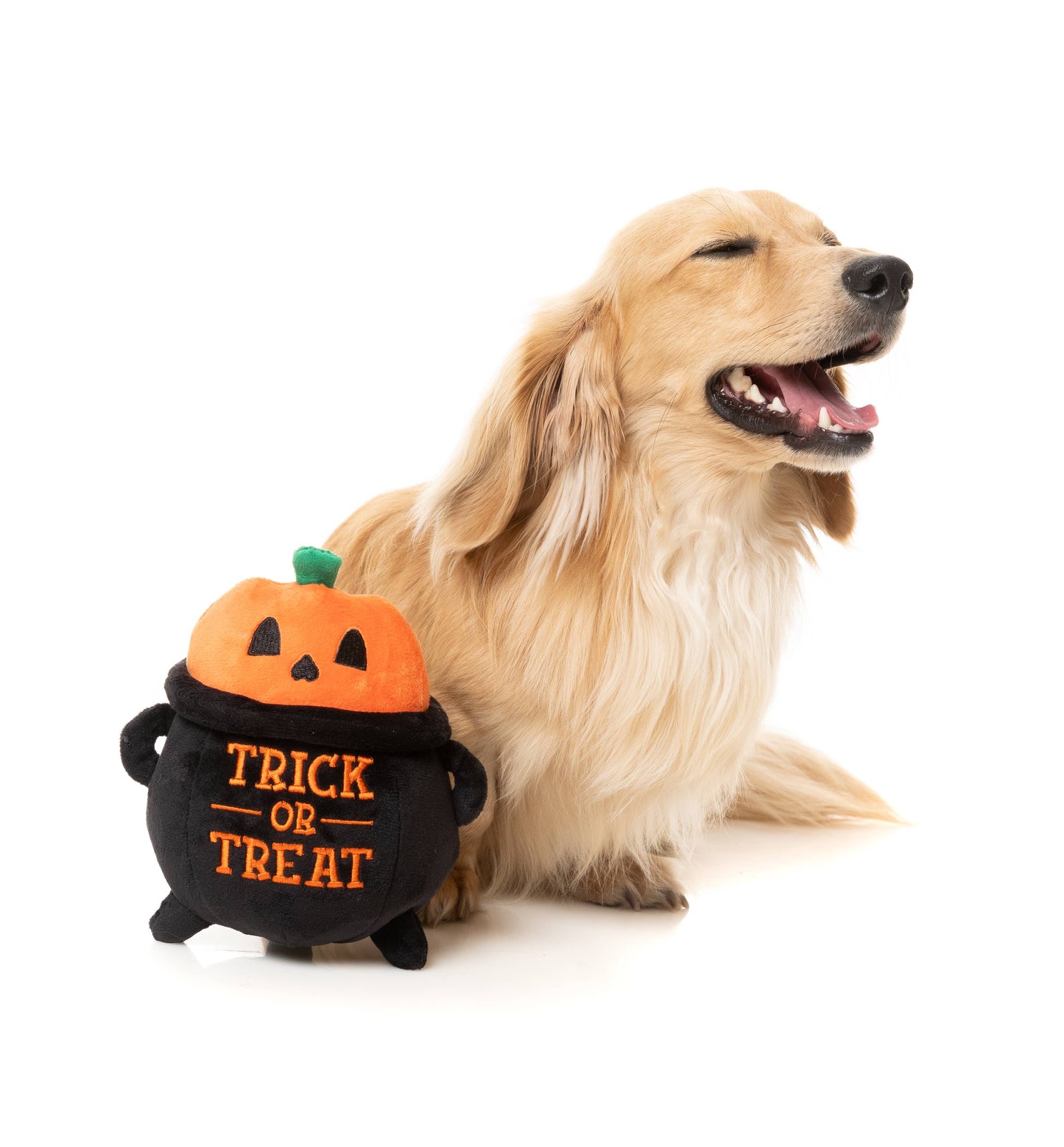Trick Or Treat Cauldron