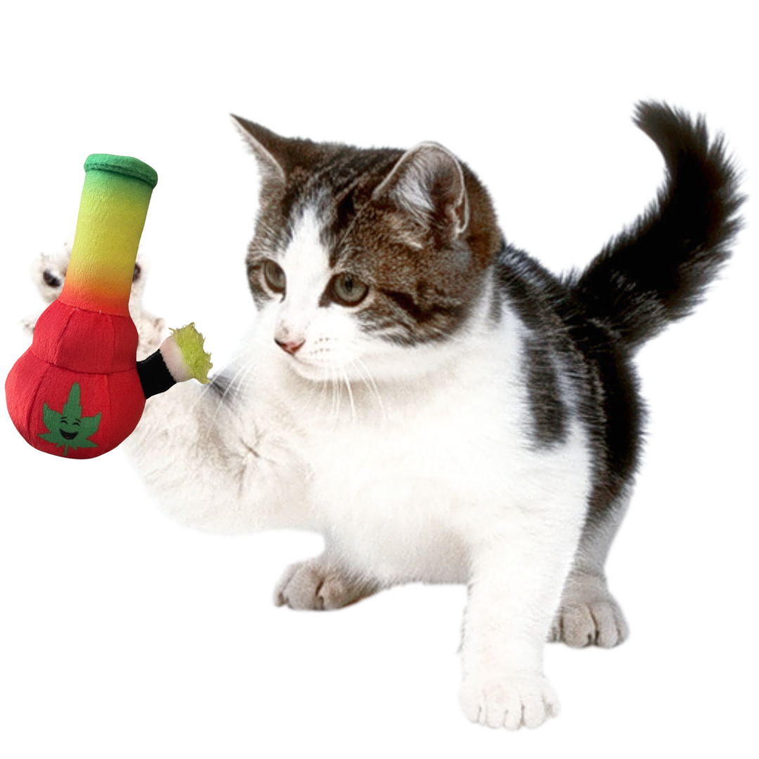 Lil Bo da Bong, Parody Plush Catnip 420 Cat Toy
