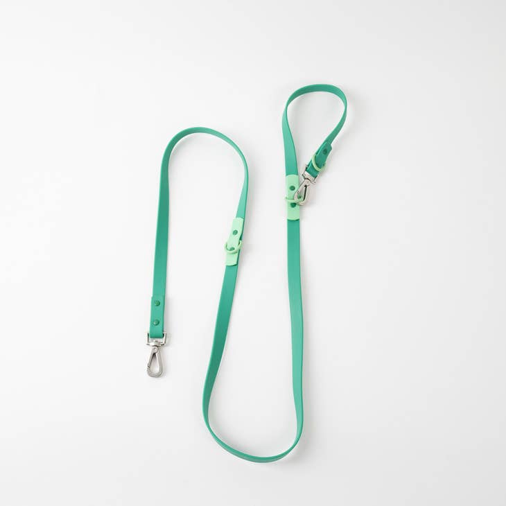 approved by fritz - dog leash