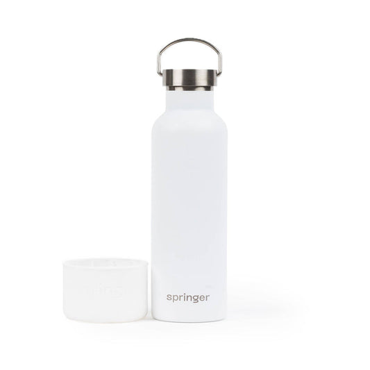 springer dog & me water travel