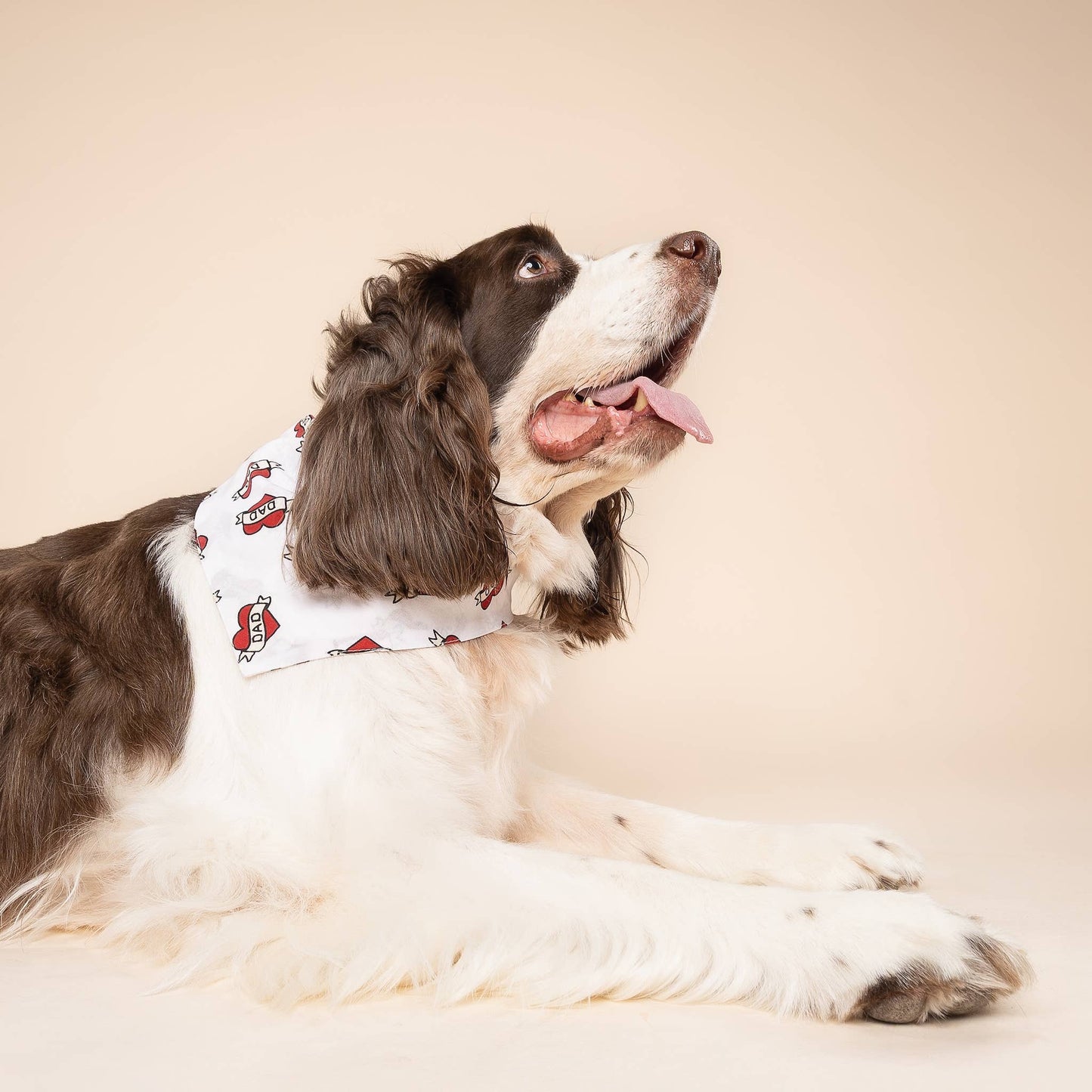 Love Dad Dog Bandana