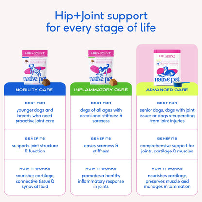Hip+Joint Advanced Care Powder Joint, Muscle & Inflammation