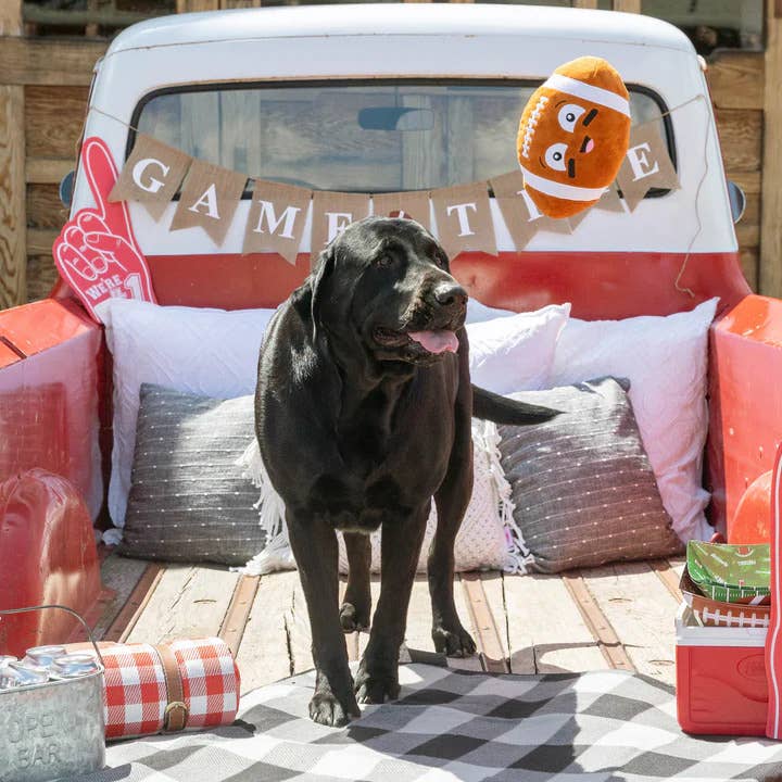 I Wanna Be A Baller Plush Dog Toy