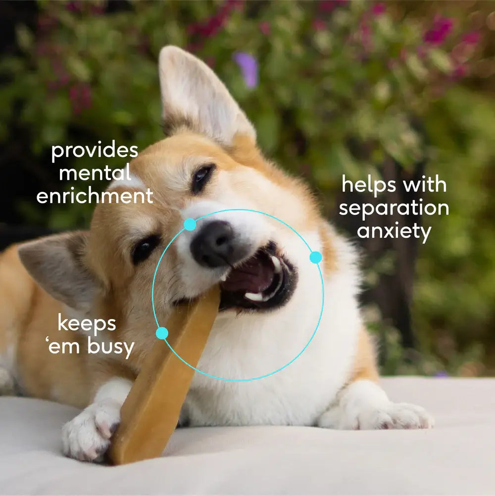 Yak Dental Chews , Himalayan Cheese Dog Treats