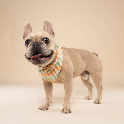 Crunch Dog Bandana