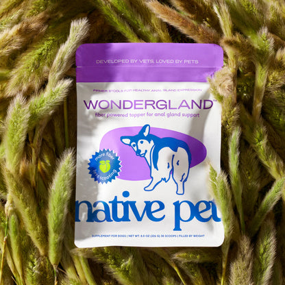 Native Pet Wondergland