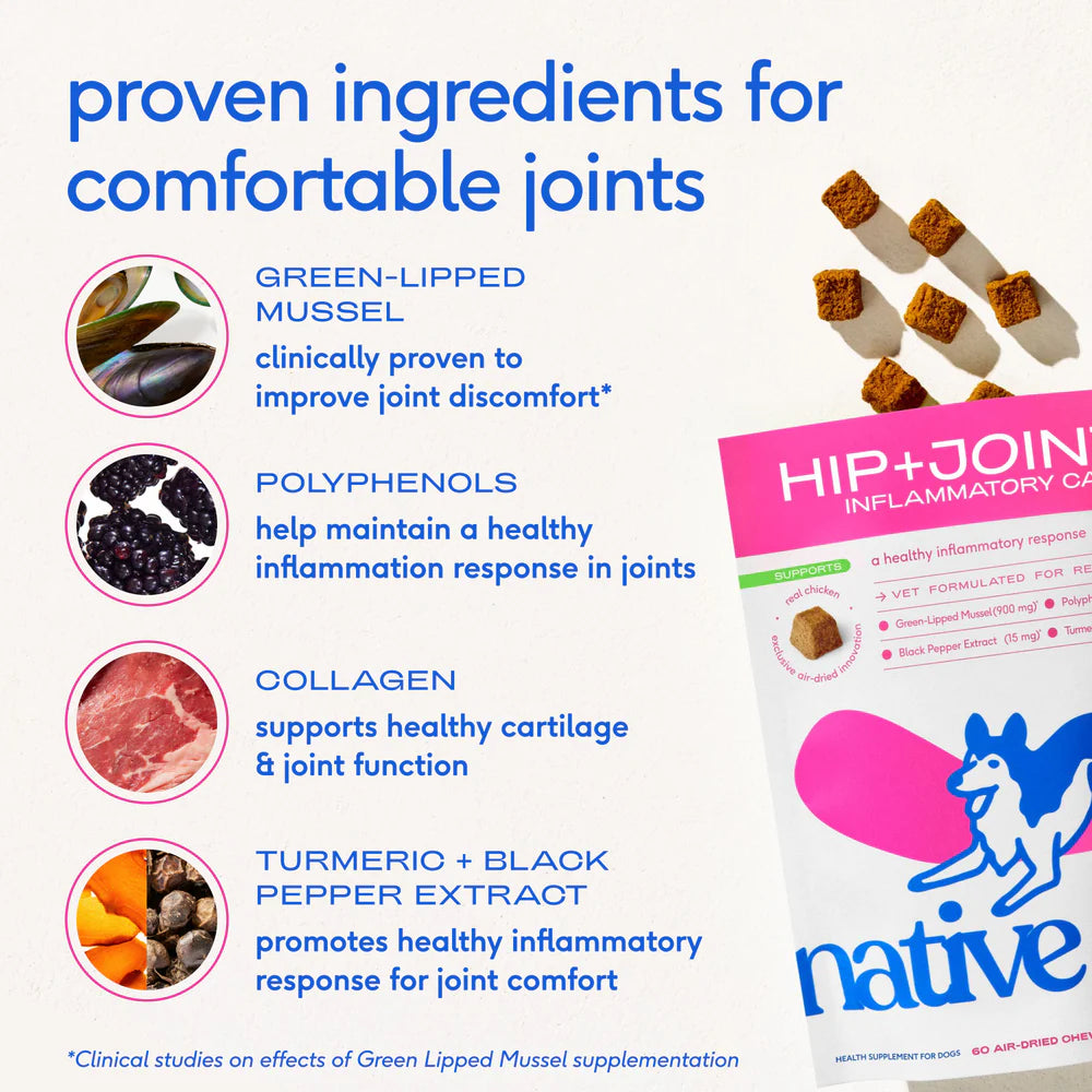 Native Pet - Hip & Joint Inflammatory Care