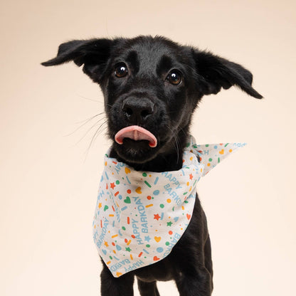 Sparkle Pawty Blue Dog Bandana
