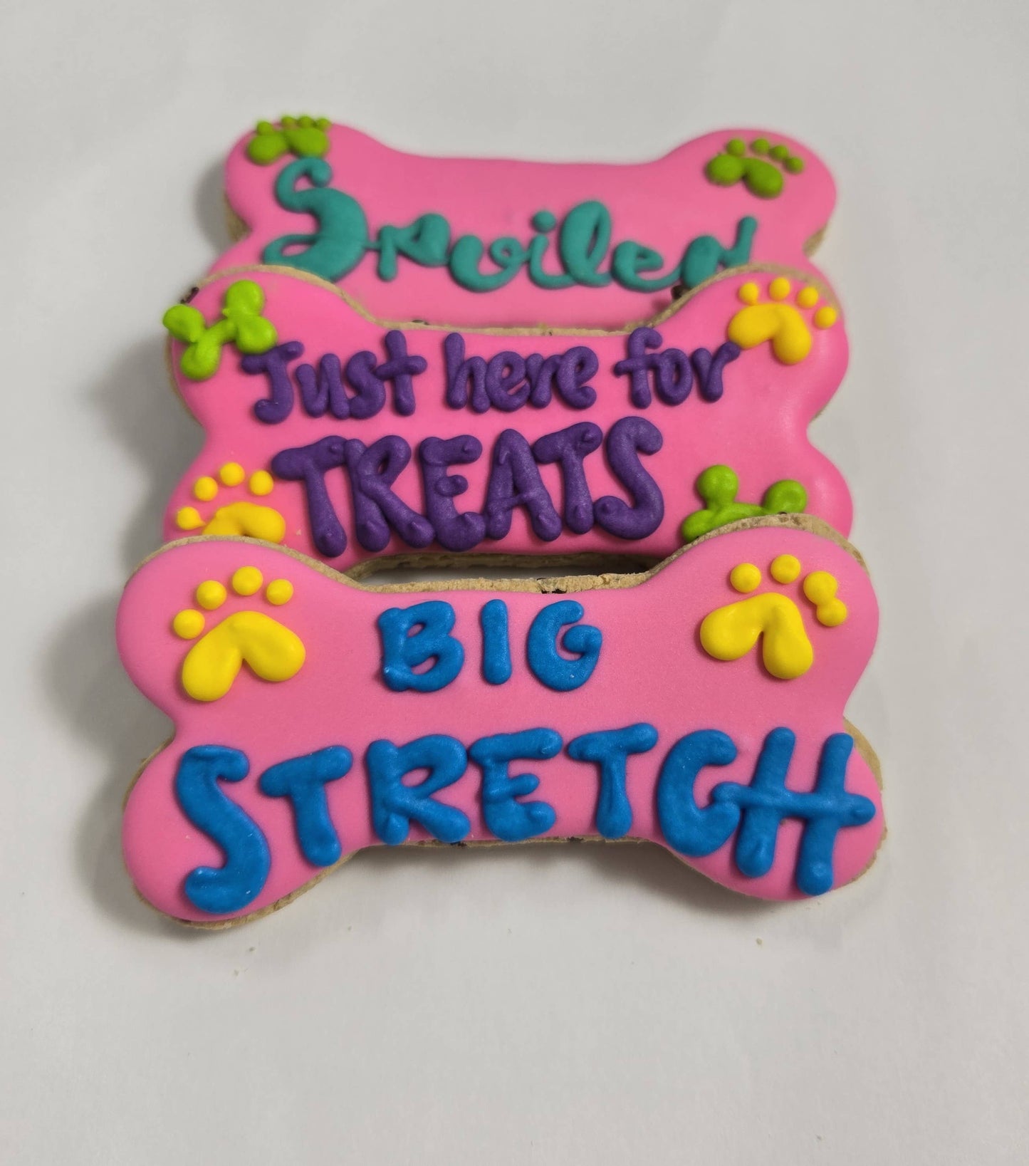 Large Dog Message Bones