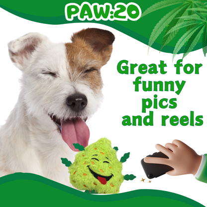 Bud the Weed Nug, Parody Plush Squeaker 420 Dog Toy