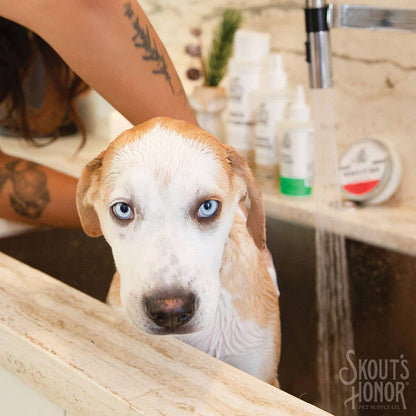 Skout's Honor Probiotic Shampoo+Conditioner Dog of the Woods