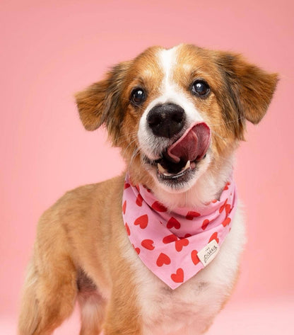 Lovesong Dog Bandana