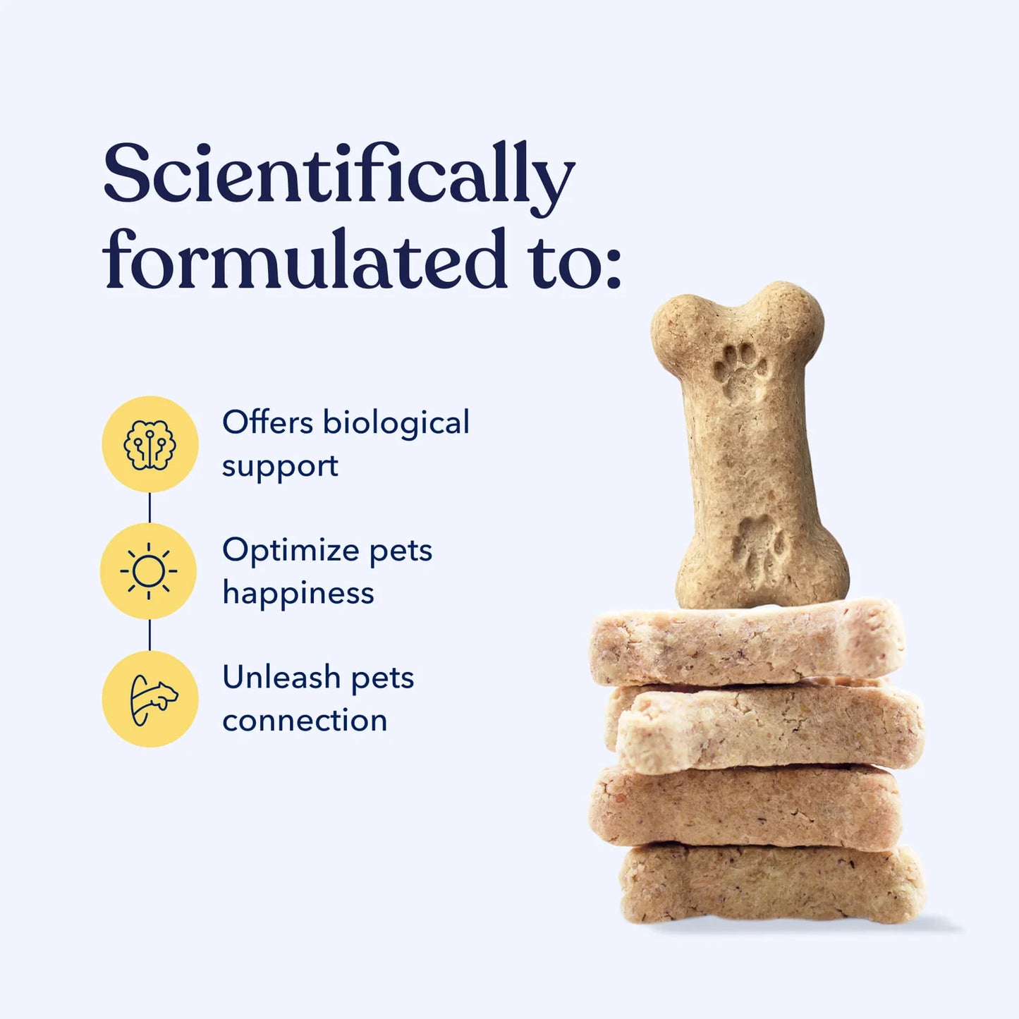 Honest Paws - Well CBD Bites