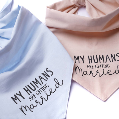 Getting Married Pink Dog Bandana