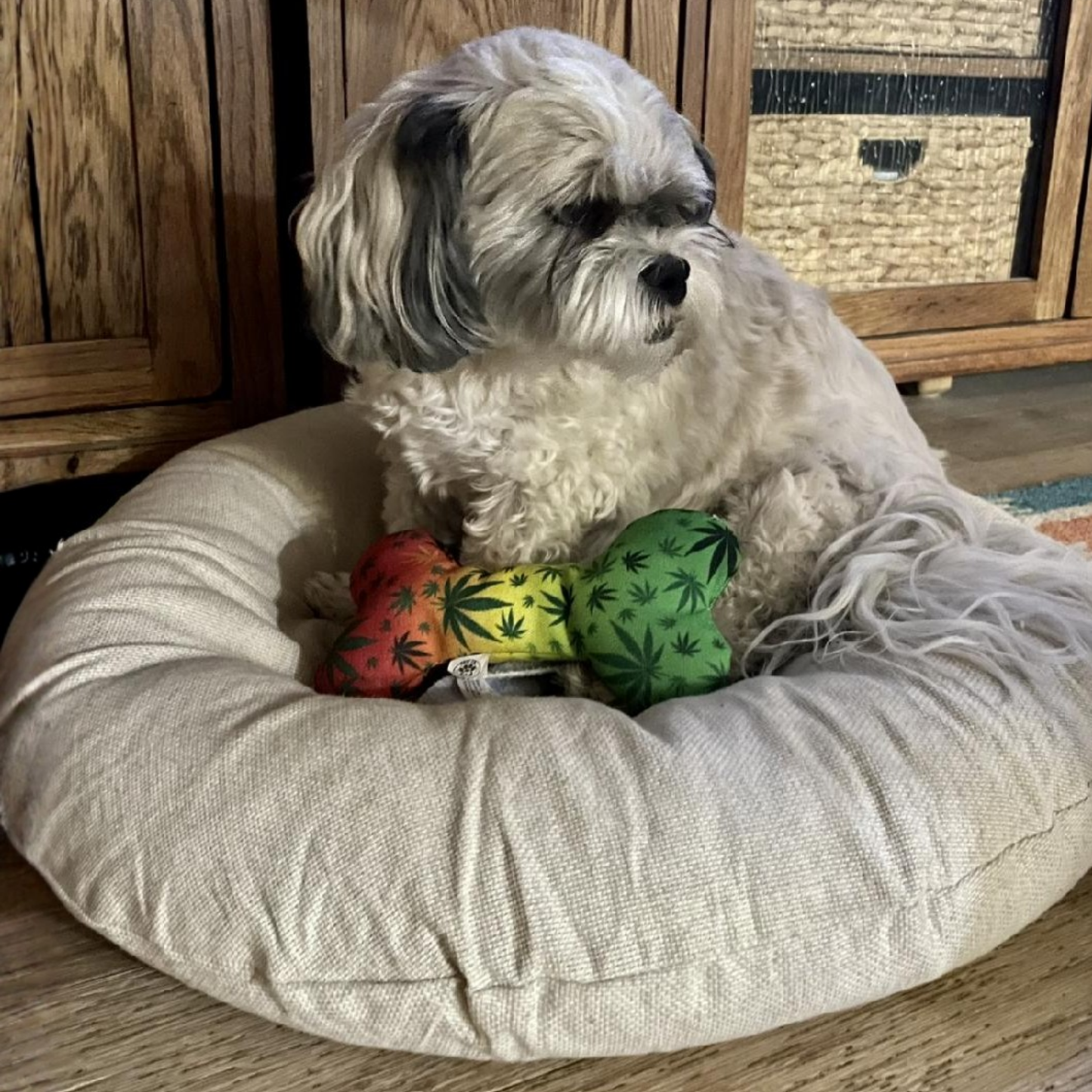Stoned to da Bone, Rasta Weed Leaf Patten, 420 Bone Dog Toy