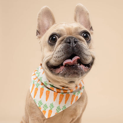 Crunch Dog Bandana