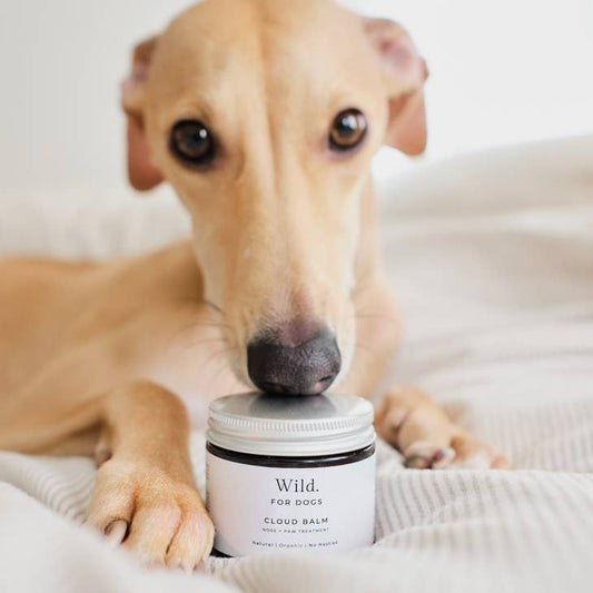 Wild for Dogs - Cloud Balm (Nose, Paw & Skin Treatment)