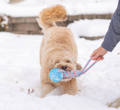 ThoozyPet Knotted Tug Rope Dog Toy with TPR Spike Ball Blue