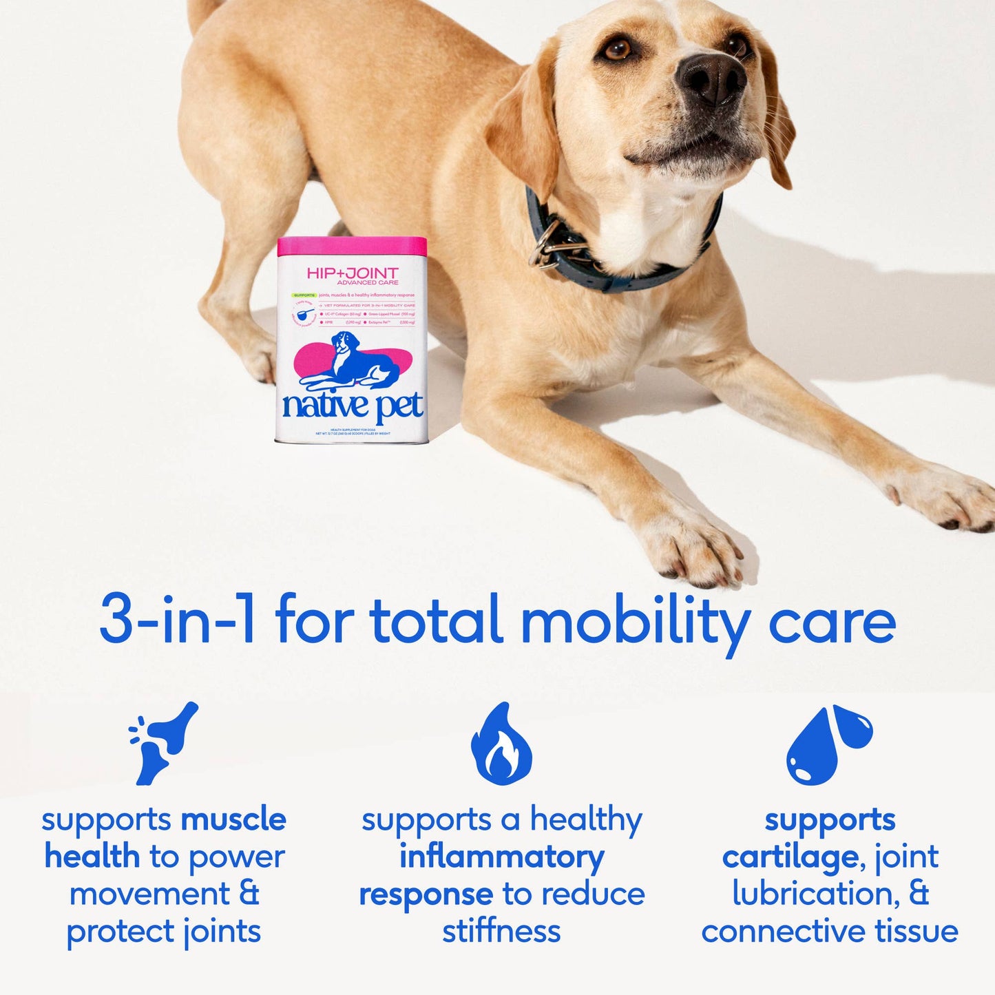 Hip+Joint Advanced Care Powder Joint, Muscle & Inflammation