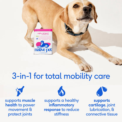 Hip+Joint Advanced Care Powder Joint, Muscle & Inflammation