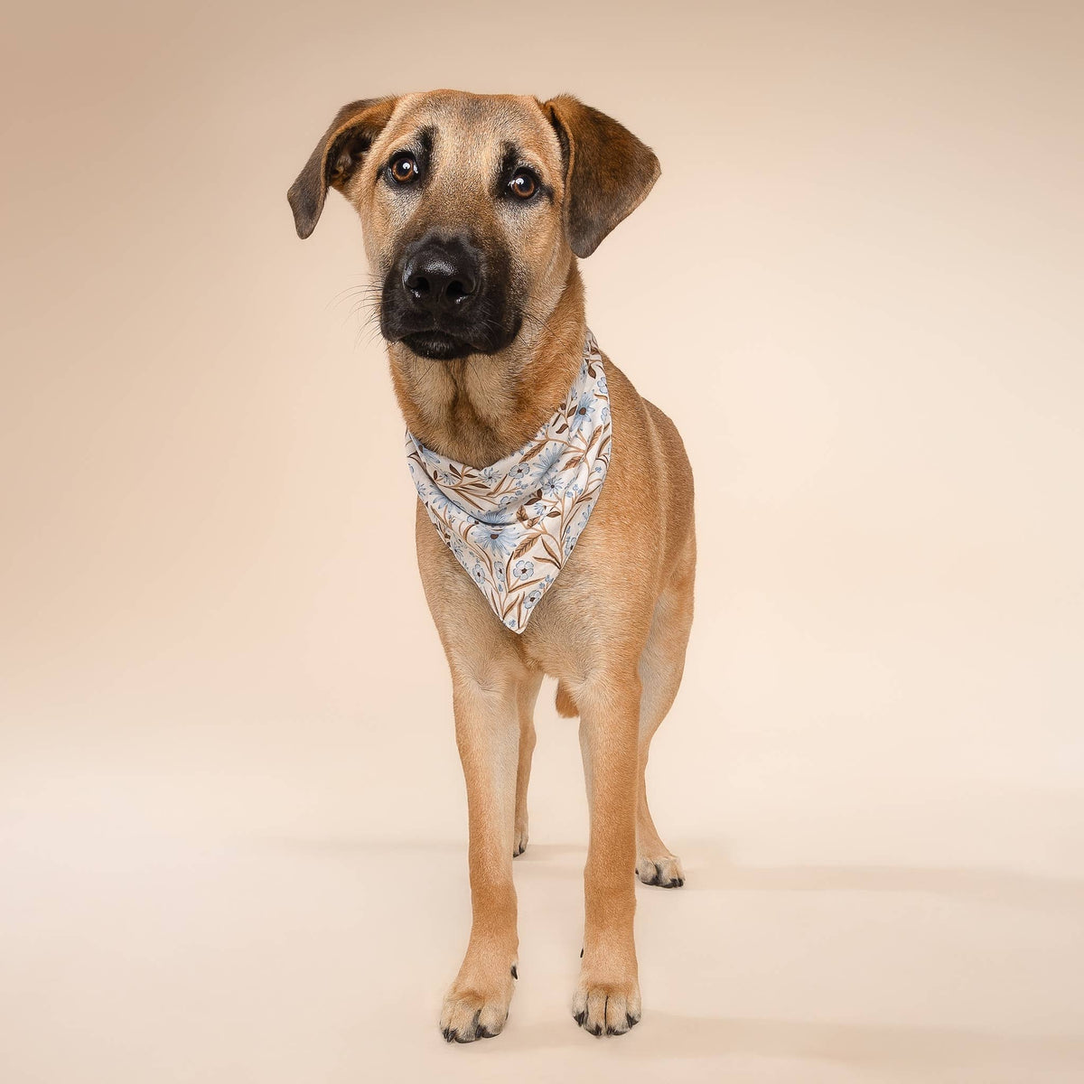 Willow Dog Bandana