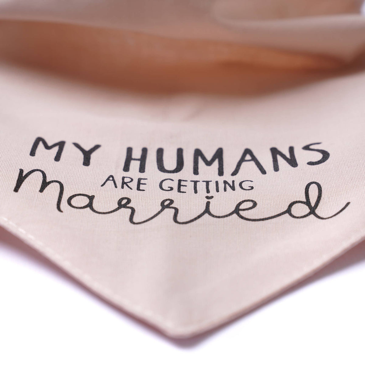 Getting Married Pink Dog Bandana