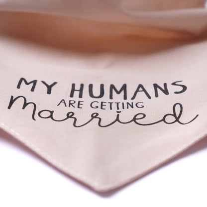 Getting Married Pink Dog Bandana