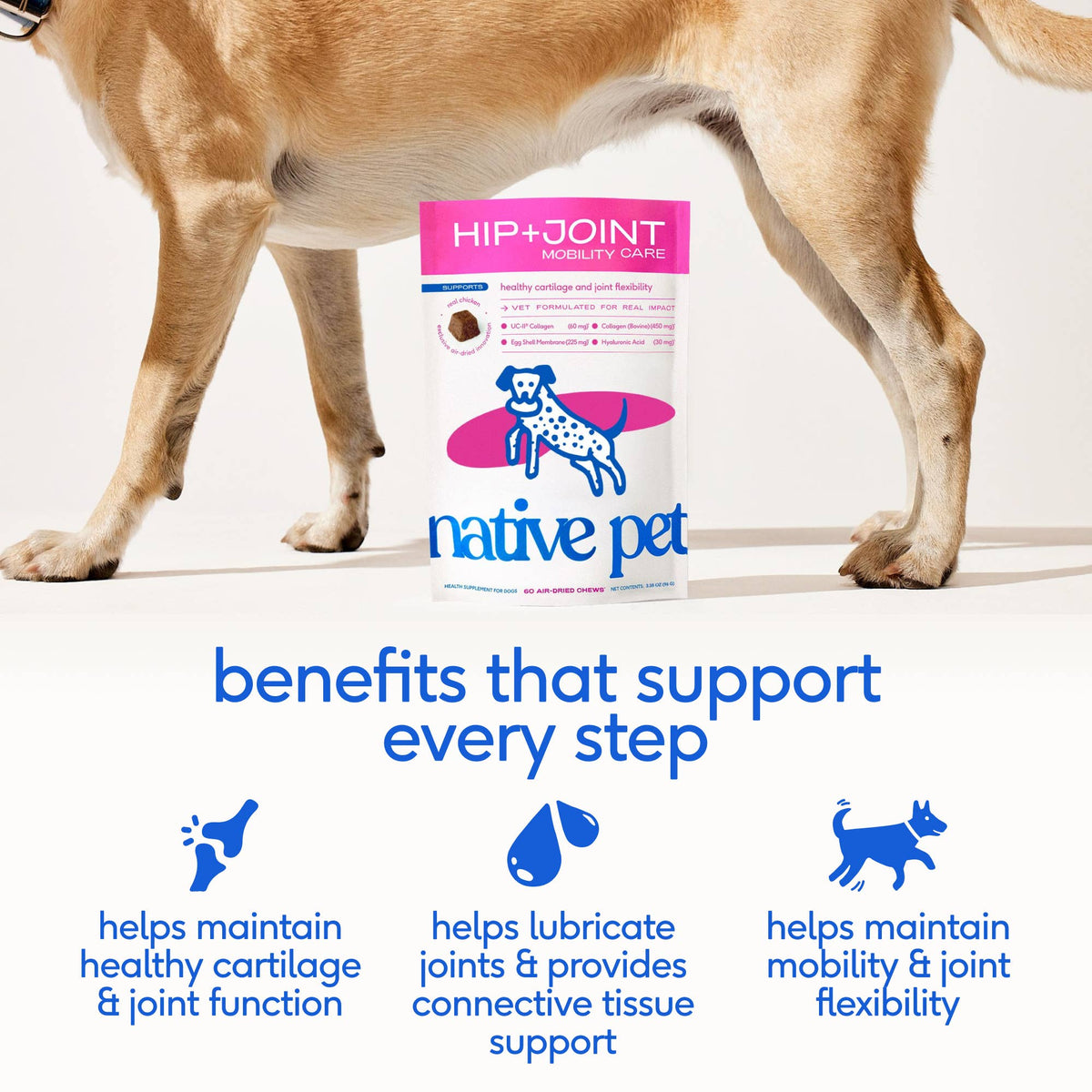 Hip+Joint Mobility Care Chews, Hip & Joint Supplement