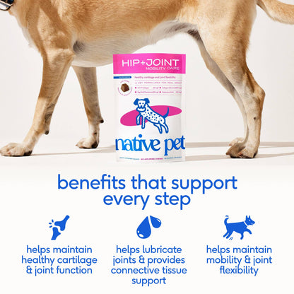 Hip+Joint Mobility Care Chews, Hip & Joint Supplement